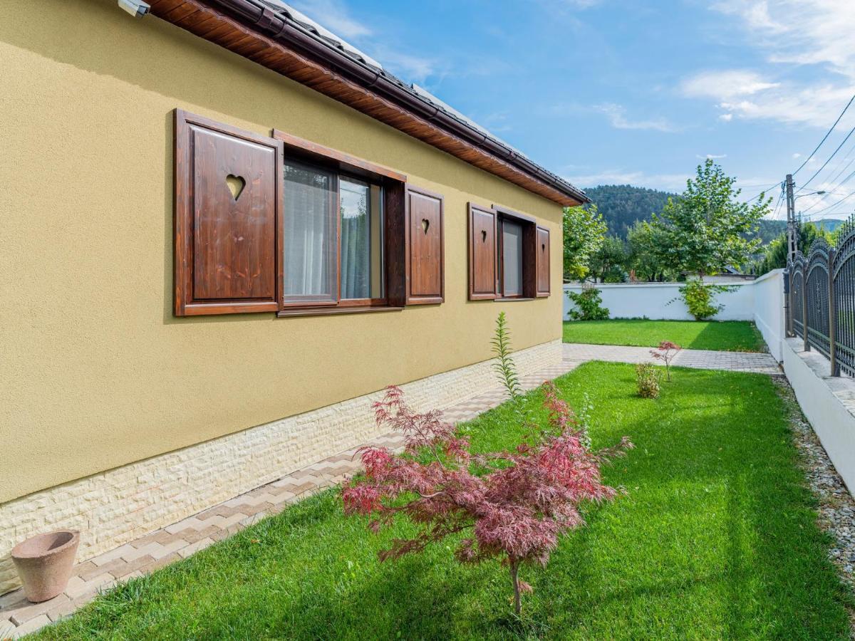 Casa Saraste Hotel Rîşnov Luaran gambar